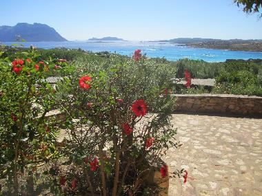Holiday Apartment in Porto Istana (Olbia-Tempio) or holiday homes and vacation rentals