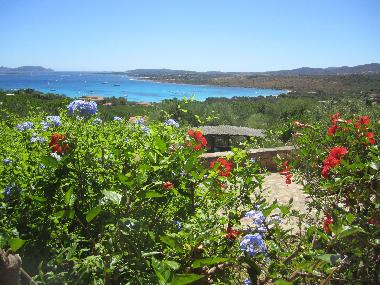 Holiday Apartment in Porto Istana (Olbia-Tempio) or holiday homes and vacation rentals