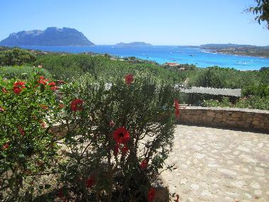 Holiday Apartment in Porto Istana (Olbia-Tempio) or holiday homes and vacation rentals