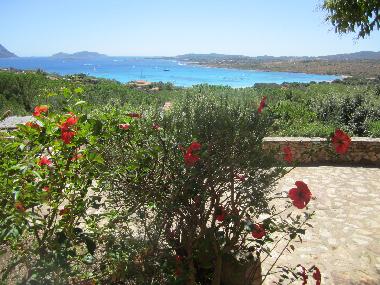Holiday Apartment in Porto Istana (Olbia-Tempio) or holiday homes and vacation rentals