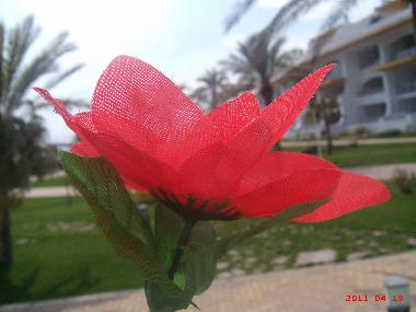 Holiday Apartment in Torreblanca (Castelln / Castell) or holiday homes and vacation rentals