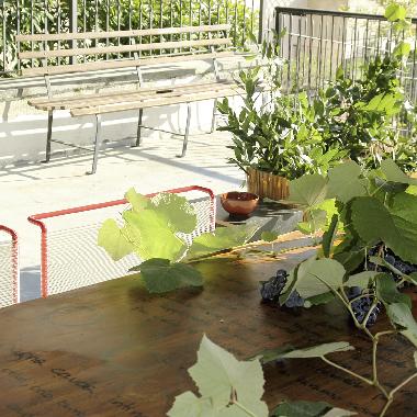 Holiday House in Dogliani (Cuneo) or holiday homes and vacation rentals