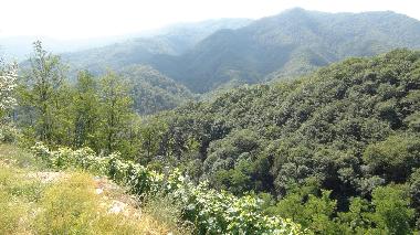 Holiday House in Brondello (Cuneo) or holiday homes and vacation rentals