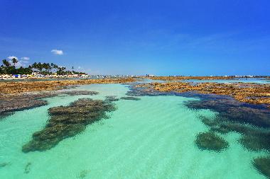 Natural Pools