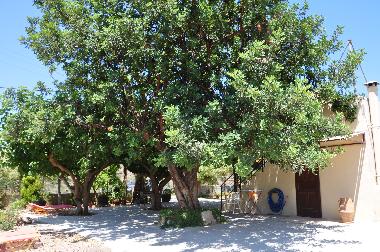 Villa in Bali Rethymnon (Rethymni) or holiday homes and vacation rentals