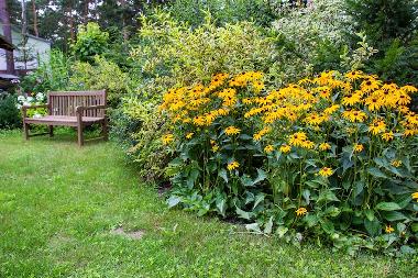 Holiday Apartment in Havelsee (Potsdam-Mittelmark) or holiday homes and vacation rentals