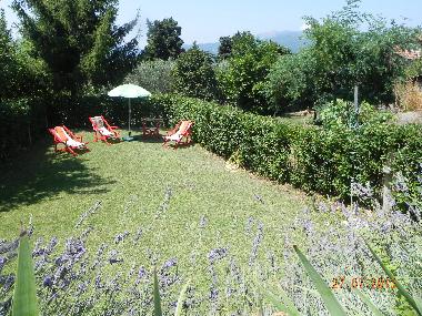 Holiday House in Lucca (Lucca) or holiday homes and vacation rentals