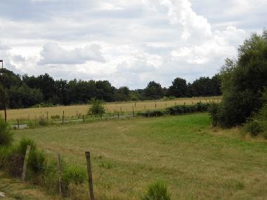 Holiday Apartment in Nouan le Fuzelier (Centre) or holiday homes and vacation rentals