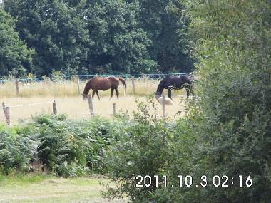 Holiday Apartment in Nouan le Fuzelier (Centre) or holiday homes and vacation rentals
