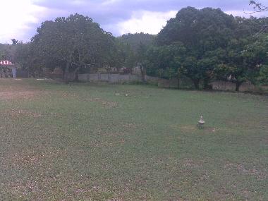 Spacious Garden with numberous fruit trees