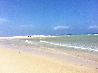 Bed and Breakfast in  (Fuerteventura) or holiday homes and vacation rentals