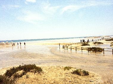 Bed and Breakfast in  (Fuerteventura) or holiday homes and vacation rentals