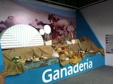 Bed and Breakfast in  (Fuerteventura) or holiday homes and vacation rentals