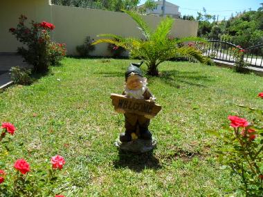 Holiday Apartment in DRAGE (Zadarska) or holiday homes and vacation rentals