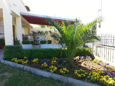 Holiday Apartment in DRAGE (Zadarska) or holiday homes and vacation rentals