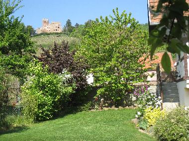 Holiday Apartment in KINTZHEIM (Bas-Rhin) or holiday homes and vacation rentals