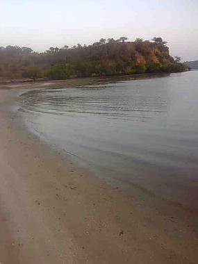 Creek cove beach, with mangroves