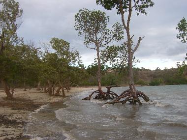 Villa in Kilifi (Coast) or holiday homes and vacation rentals
