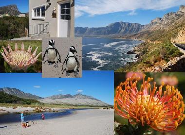Holiday House in Pringle Bay (Western Cape) or holiday homes and vacation rentals