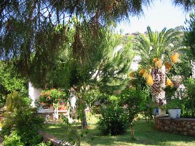 Holiday Apartment in Palamutbk (Mugla) or holiday homes and vacation rentals