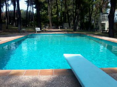 Villa in SANI (Chalkidiki) or holiday homes and vacation rentals