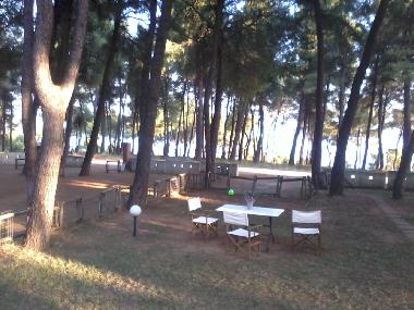 Villa in SANI (Chalkidiki) or holiday homes and vacation rentals