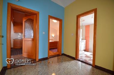 Holiday Apartment in Okrug Gornji (Splitsko-Dalmatinska) or holiday homes and vacation rentals