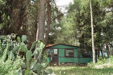 Bed and Breakfast in Collesalvetti - Crocino (Livorno) or holiday homes and vacation rentals