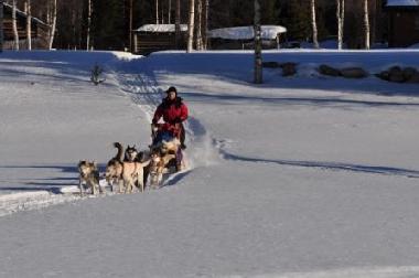Holiday House in Sorsele (V�sterbotten) or holiday homes and vacation rentals