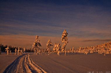 Holiday House in Sorsele (V�sterbotten) or holiday homes and vacation rentals