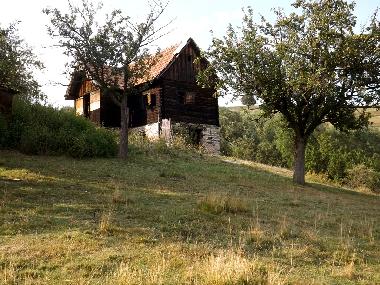 Cozo Fantu, shepherds cottage for 4 persons (Casa Vale, Sibiu)