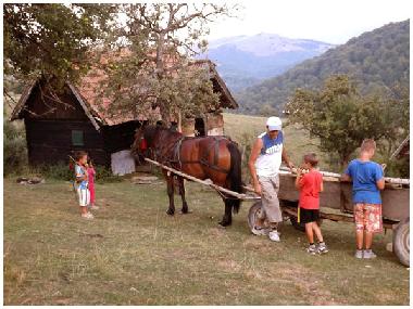 Cozo Fantu, shepherds cottage for 4 persons (Casa Vale, Sibiu)
