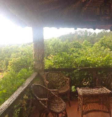 Villa in Vieira do Minho (Norte) or holiday homes and vacation rentals
