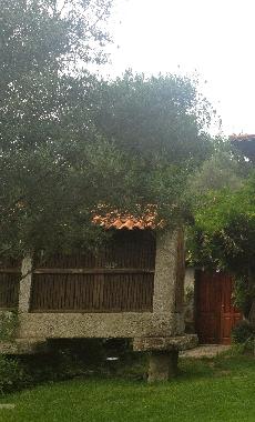 Villa in Vieira do Minho (Norte) or holiday homes and vacation rentals