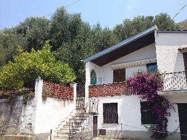 Villa in Pisciotta (Salerno) or holiday homes and vacation rentals