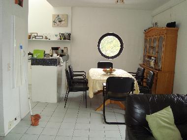 Holiday Apartment in Bondi (New South Wales) or holiday homes and vacation rentals