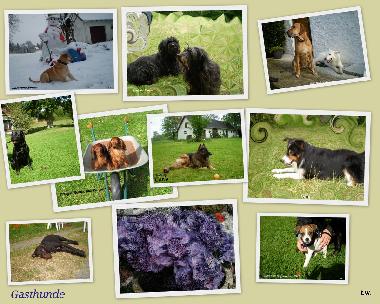 Holiday Apartment in Malente-Krummsee (Holsteinische Schweiz) or holiday homes and vacation rentals