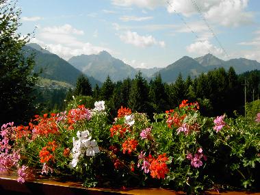 Holiday Apartment in Riezlern  (Bavarian Swabia) or holiday homes and vacation rentals