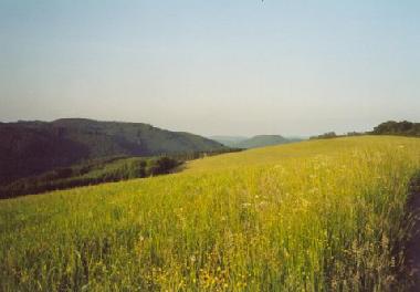 Holiday House in Eichenbach (Eifel - Ahr) or holiday homes and vacation rentals