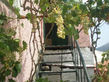 Villa in Nikithianos (Lasithi) or holiday homes and vacation rentals