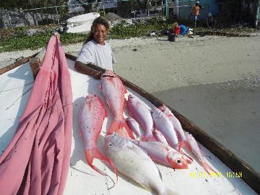 Holiday Apartment in Grand Baie (Grand Baie) or holiday homes and vacation rentals