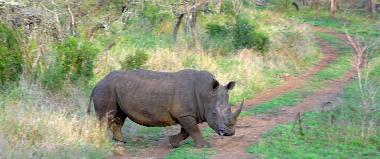 Holiday House in Phalaborwa (KRUGERPARK) (Northern Province) or holiday homes and vacation rentals