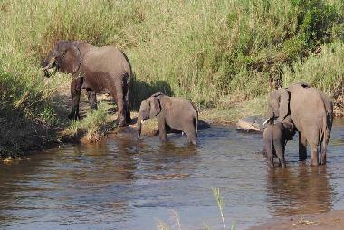 Holiday House in Phalaborwa (KRUGERPARK) (Northern Province) or holiday homes and vacation rentals