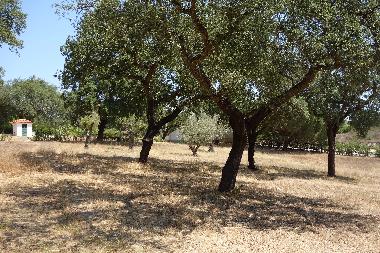 Holiday House in Santo Estevo (Grande Lisboa) or holiday homes and vacation rentals