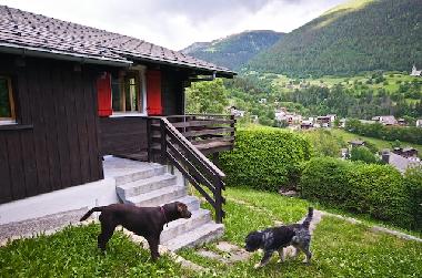 Chalet in Fiesch (Aletsch) or holiday homes and vacation rentals