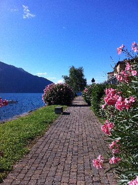 Holiday Apartment in Ghiffa (Verbano-Cusio-Ossola) or holiday homes and vacation rentals