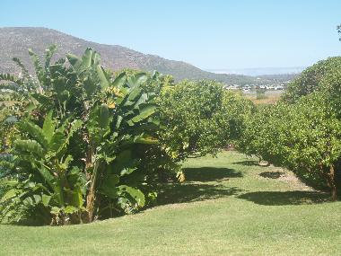 View of garden and lakes