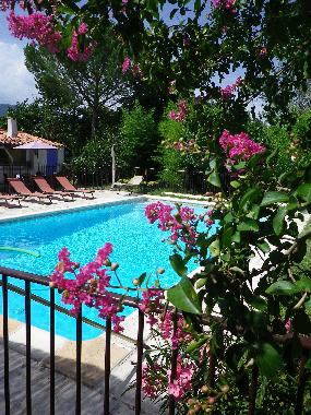 Villa in Fayence (Var) or holiday homes and vacation rentals
