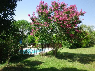 Villa in Fayence (Var) or holiday homes and vacation rentals