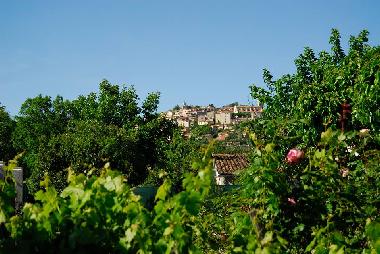 Villa in Fayence (Var) or holiday homes and vacation rentals